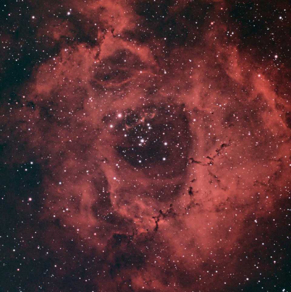 Rosette Nebula