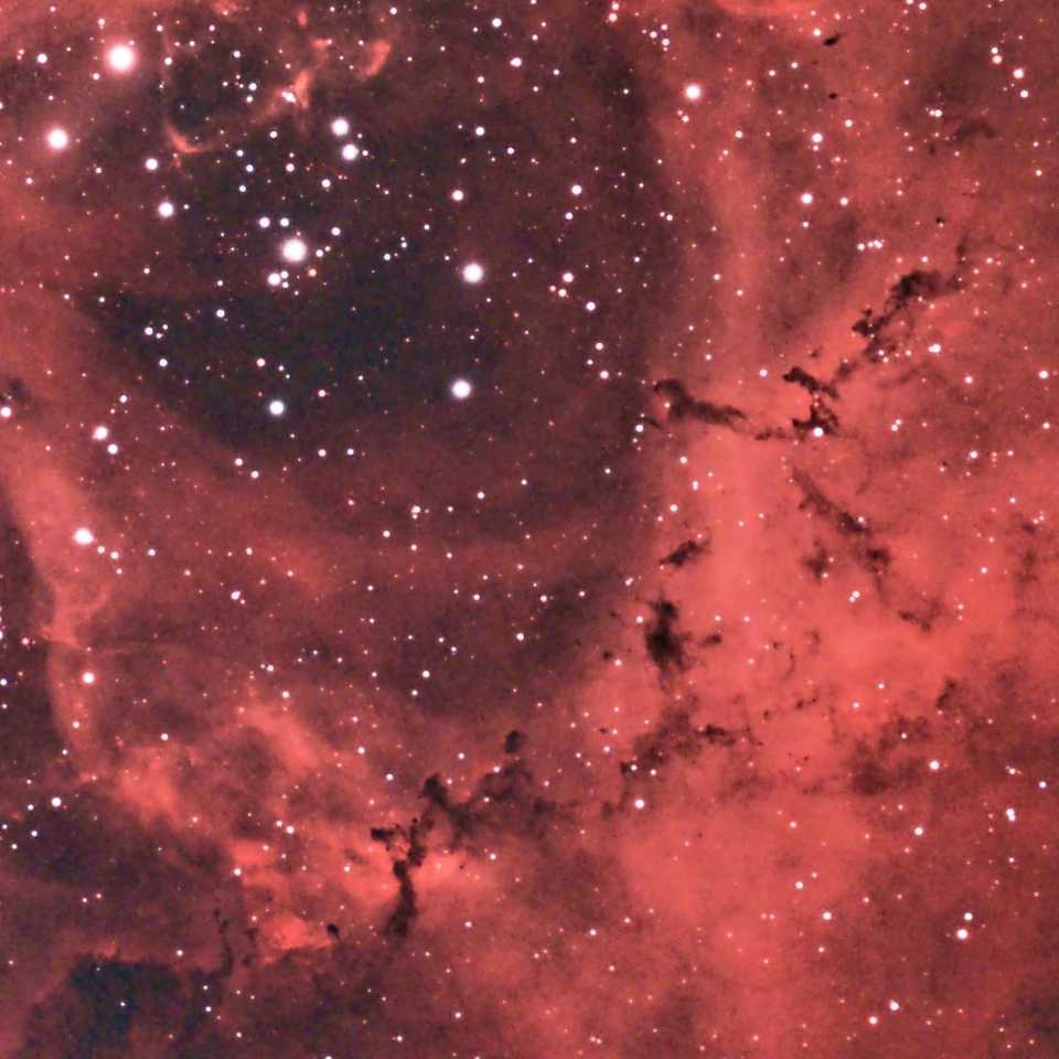 Rosette Nebula Zoomed
